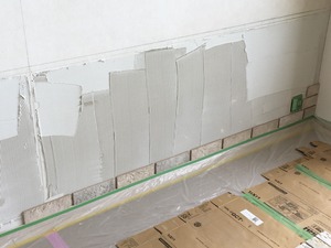 2016-12-06 11.01.51.jpg