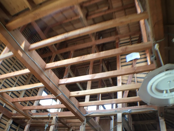 IMG_1908.JPGのサムネイル画像