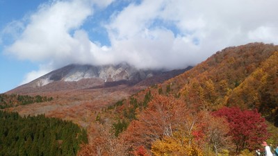 Photo_18-11-13-07-57-21.124 (1).jpgのサムネイル画像