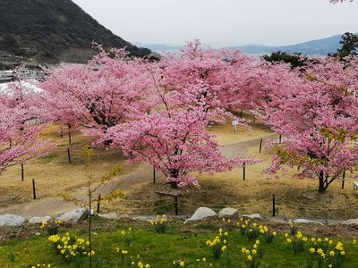 Photo_19-03-01-09-16-16.975 (1).jpg