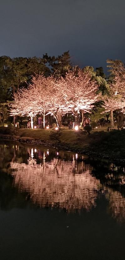 IMG_20190331_204348 (1).jpg