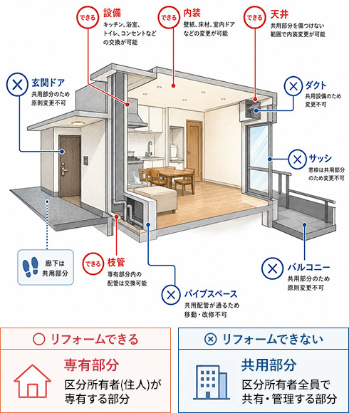 マンションの専有部分と共用部分の図解。玄関ドア・ダクト・サッシ・バルコニー・パイプスペースは共用部分のため原則変更不可、設備・内装・天井・枝管は専有部分のため変更可能