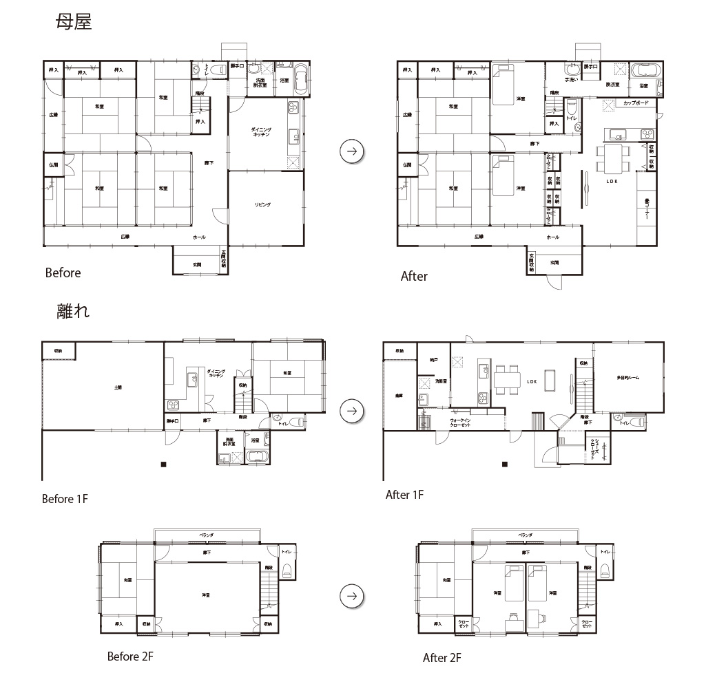 trace_data-20251007.jpg