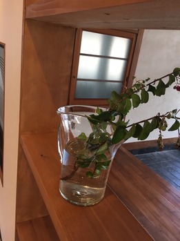 IMG_3658.JPG