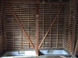 IMG_5697.JPG