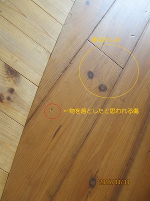 傷、しみ.JPG