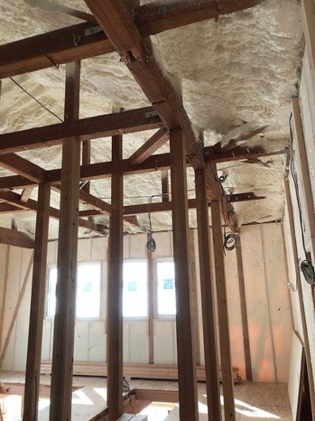 IMG_1152.JPG