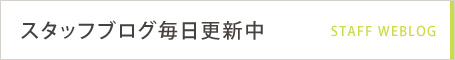 top_about_btn_13_pc.jpgのサムネイル画像