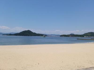 DSC_0386.jpg