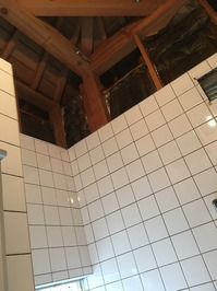 IMG_0718.jpg