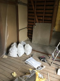 IMG_1546.jpg