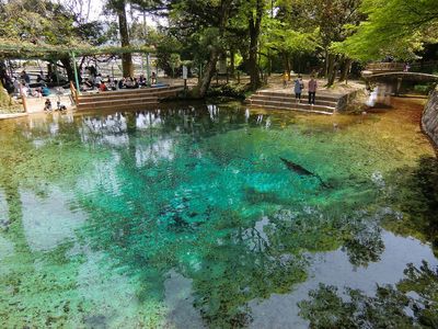 1200px-Beppu_benten_pond.JPG