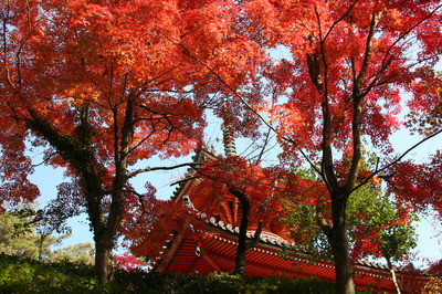 Mitaki-dera_Taho-to.jpg