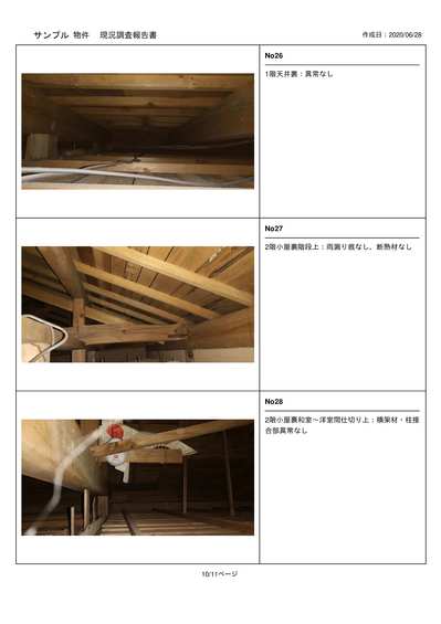 現況調査報告書(サンプル)-11.jpg