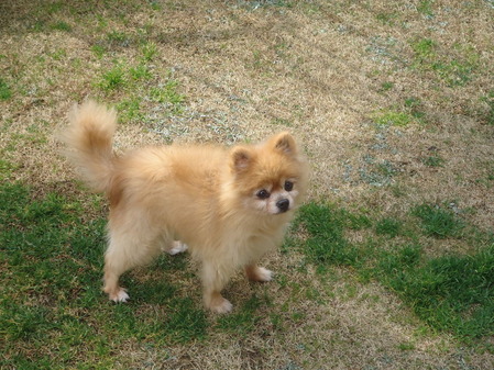 DSC04660
