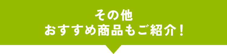 その他おすすめ商品もご紹介！