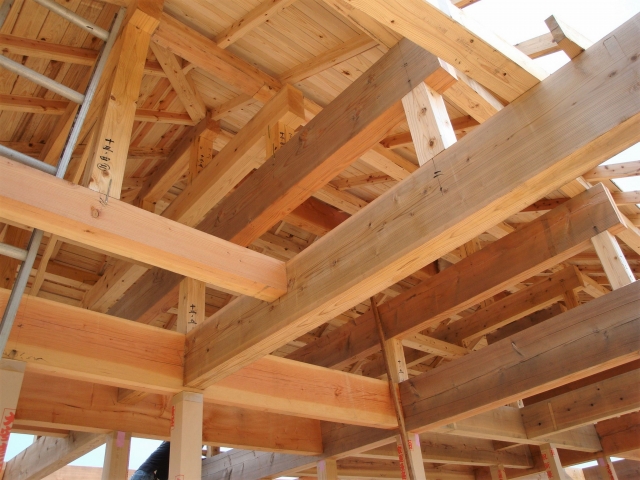 1_リノベーション 戸建て_3.jpg