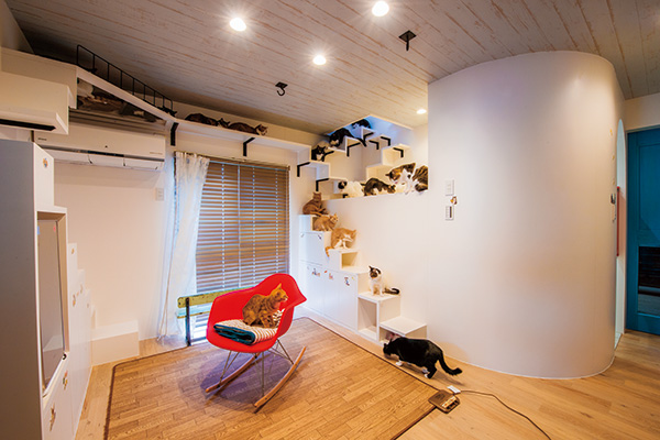 4_リフォームペット_1.jpg