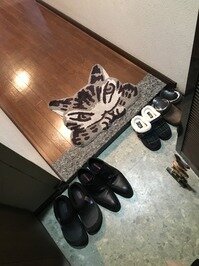 猫と暮らすマンションリノベ♫
