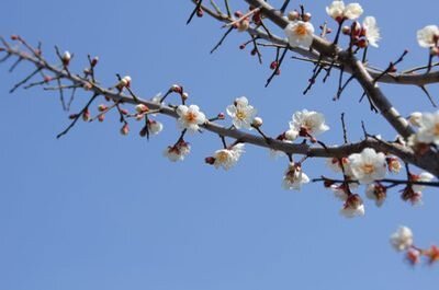 お住まいの現況調査♪